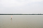 湖面景观