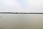 湖面景观