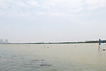 湖面景观