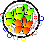 花纹