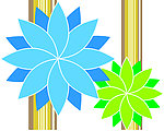 花纹