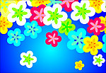 花纹