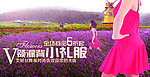 淘宝标头