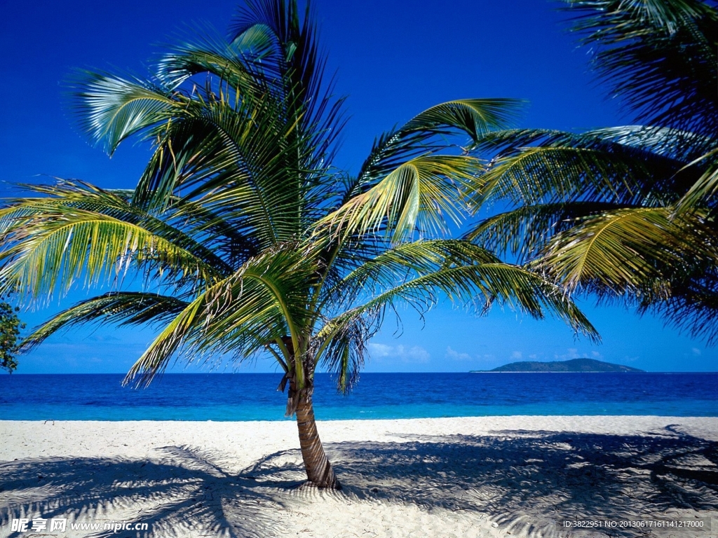 夏日海边风景