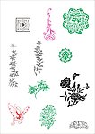 中国古花纹