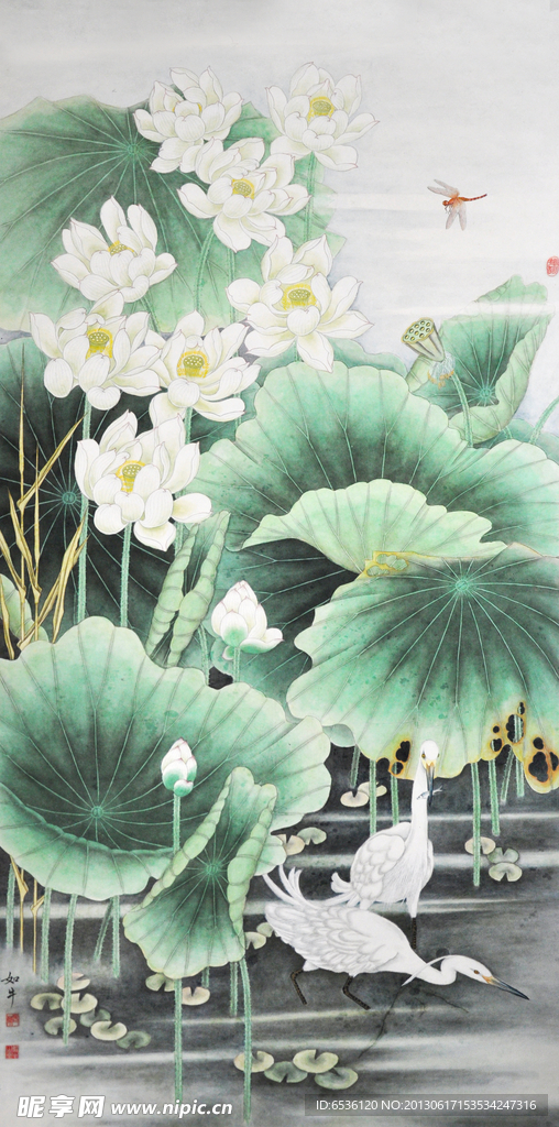 荷花