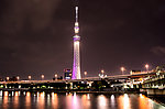 东京塔