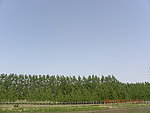 田园风光
