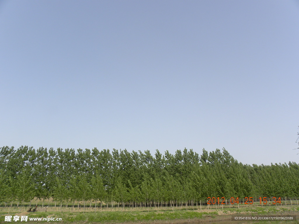田园风光