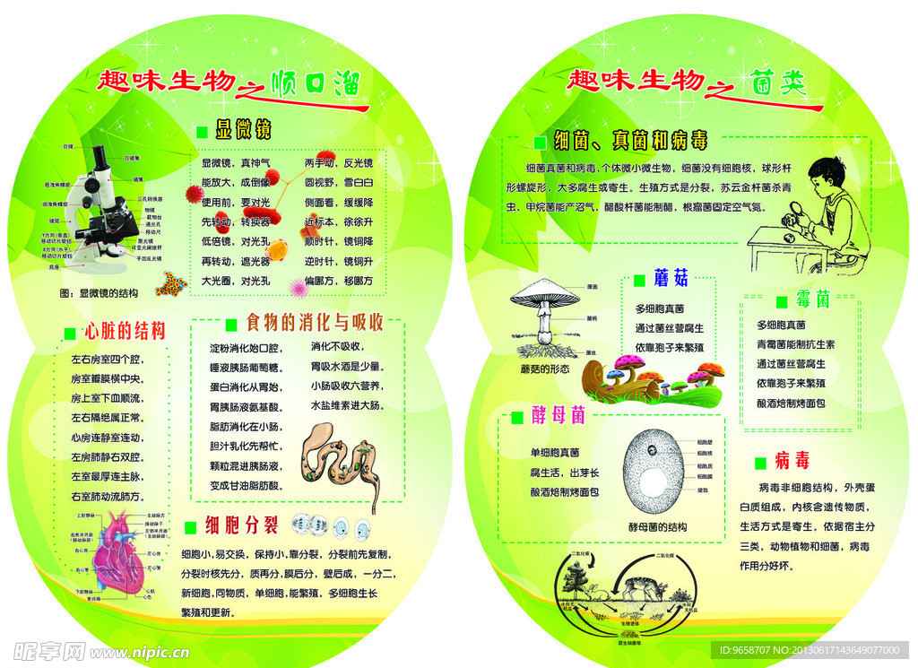 趣味生物