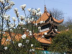 东湖山