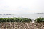 阳澄湖风景