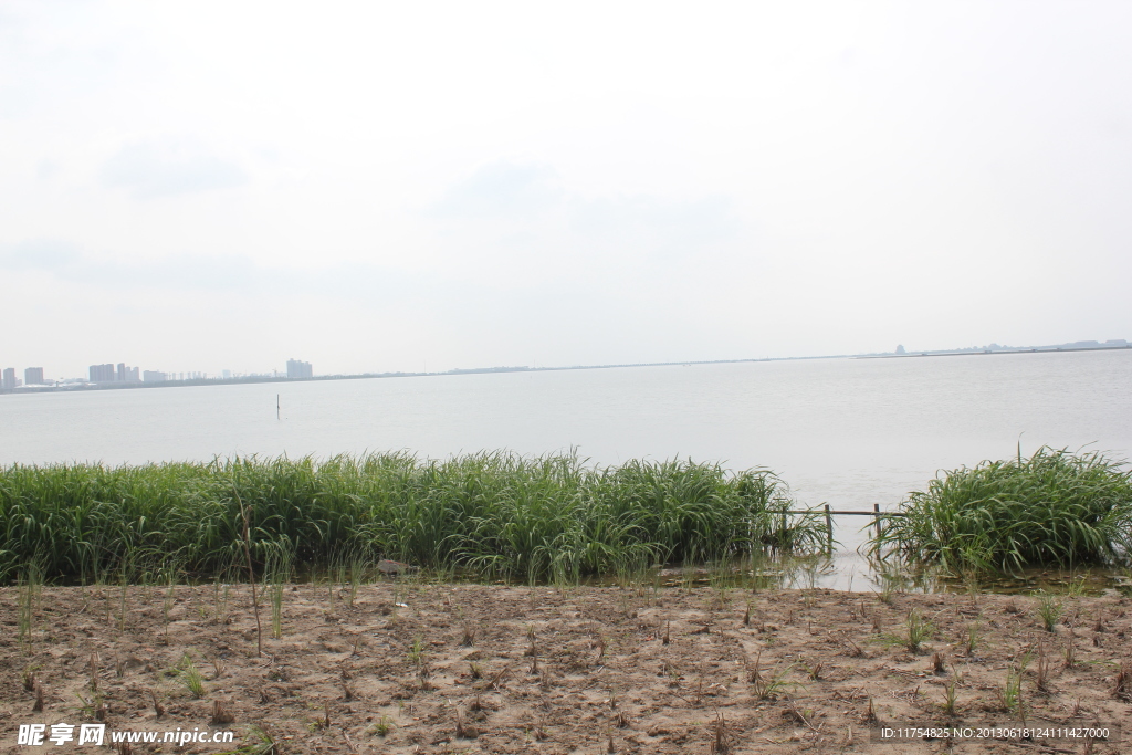 阳澄湖风景