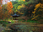 自然风景