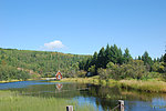 夏天木屋度假村风景