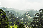 泰山