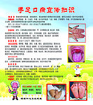 手中口病宣传知识