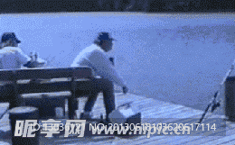 搞笑动图