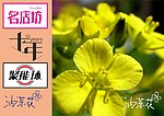 字体设计