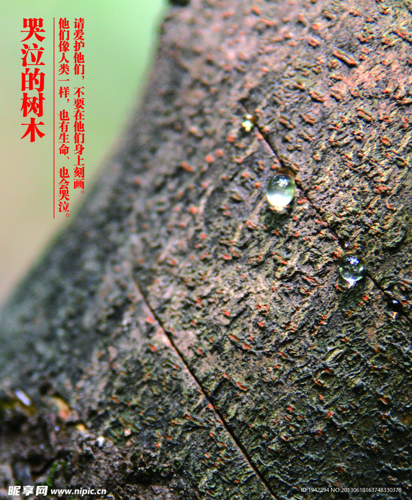 哭泣的树木公益海报