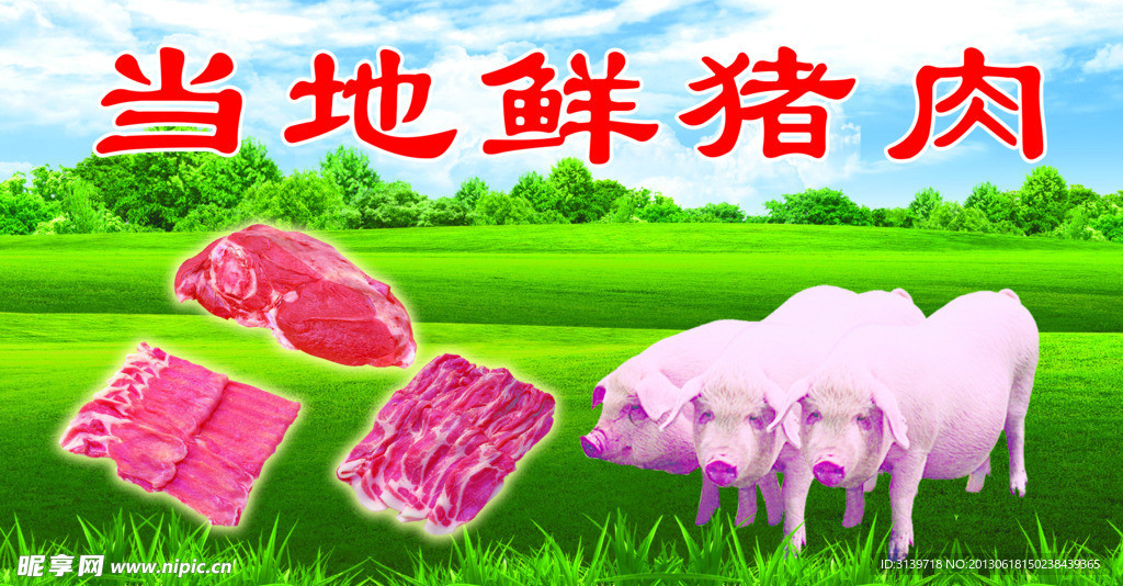鲜猪肉海报