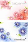 时尚花朵背景