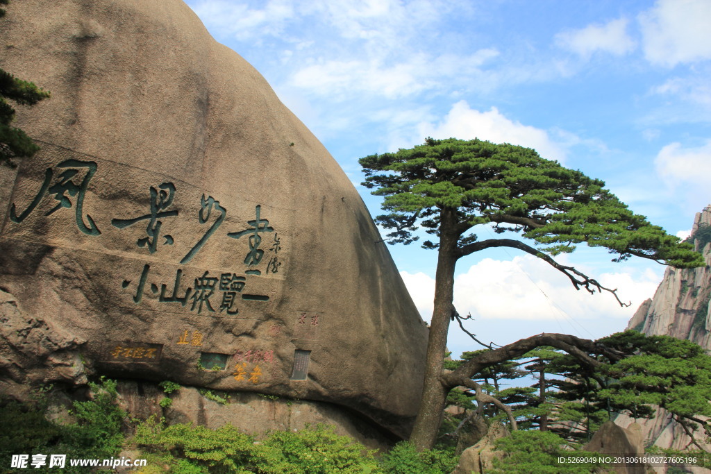 迎客松