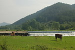 泗泊河