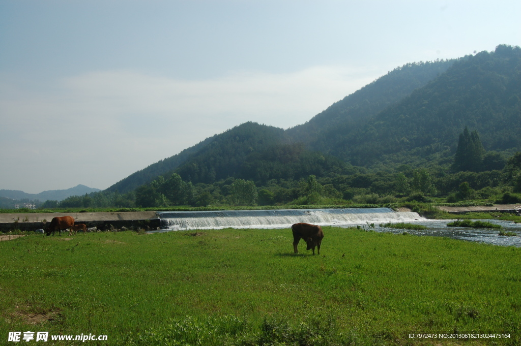 大崎山水