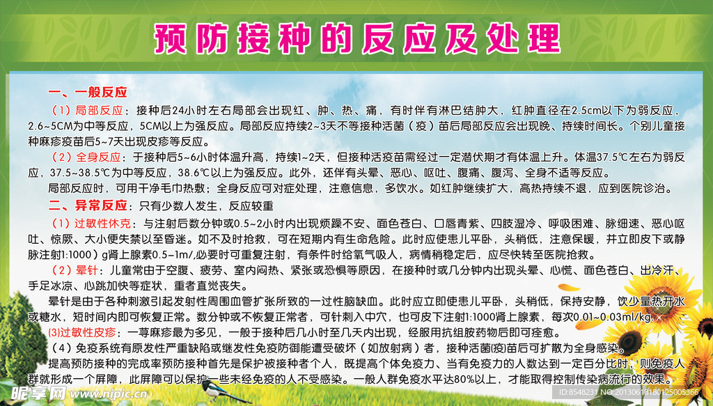 展板 模板