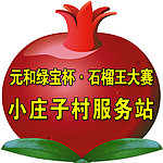 石榴大赛展板