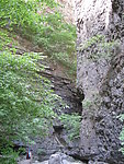 山区绿意