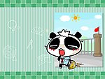 无知熊猫
