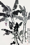 芭蕉园