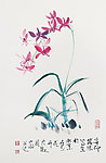 兰花
