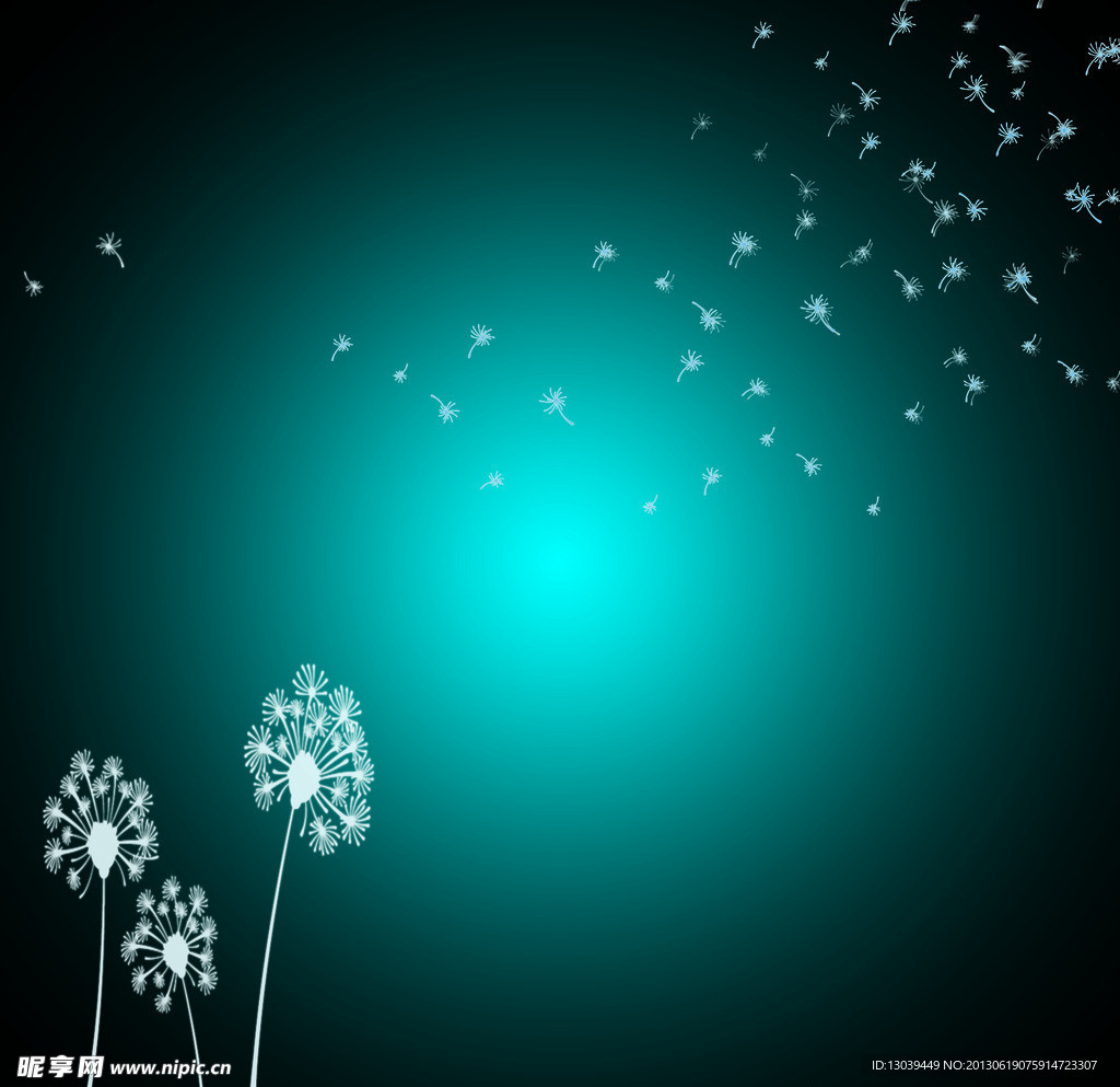蒲公英