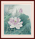 紫莲飘香晨风里