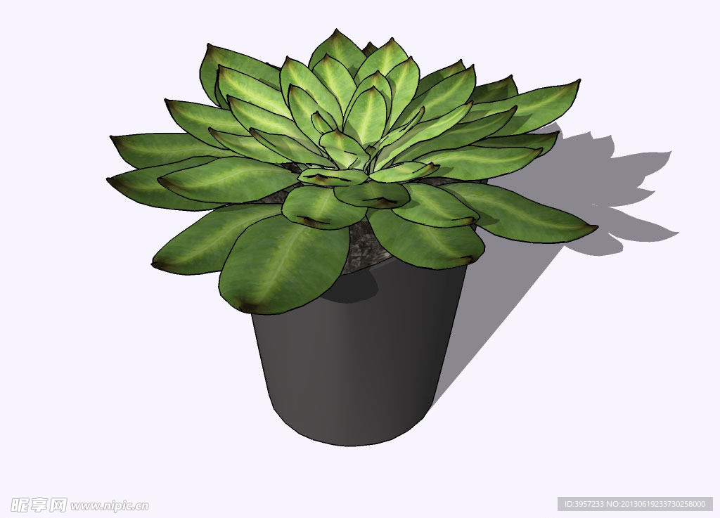 盆景3D模型