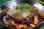 荆沙甲鱼