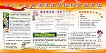 慢性病展板