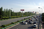 道路绿化