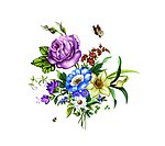 蝴蝶 花朵