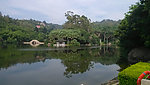 万石植物园