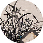 兰花
