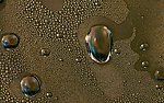 水露