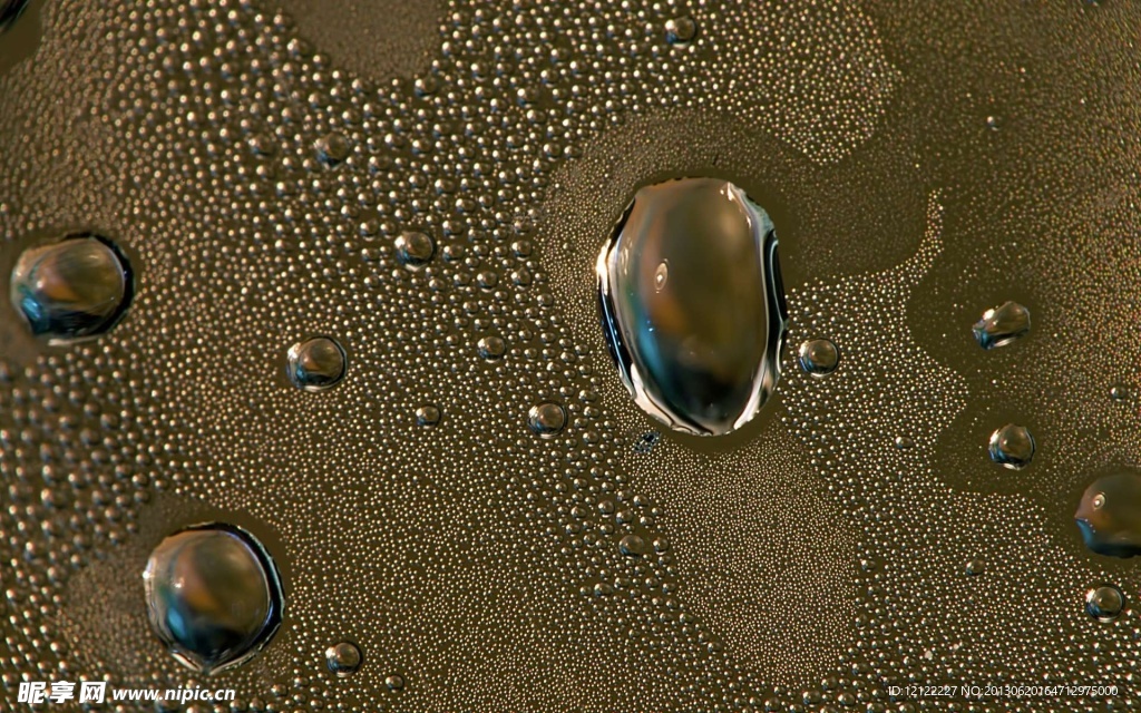 水露