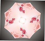 玫瑰花伞