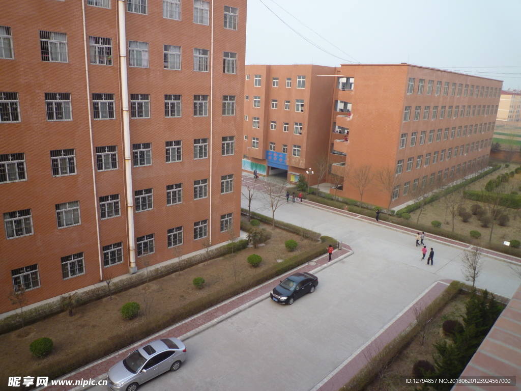 学校