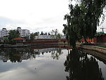 池水