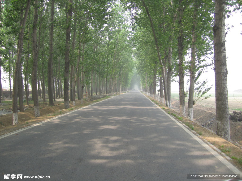 乡间小路